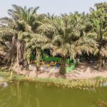 une-partie-du-restaurant